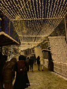 Vienna Winter Travel Guide