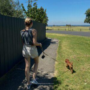 affordable stays for travellers