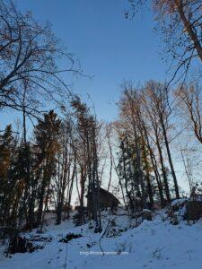 things to do in bolzano