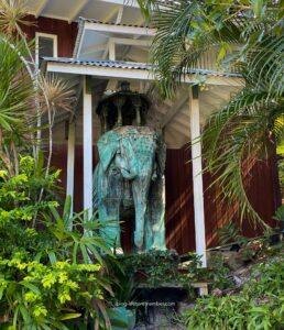 things not to do in Bali