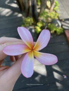 things not to do in Bali