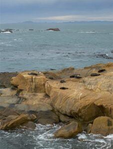 things to know before visiting New Zealand