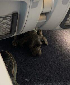 Vienna public transport