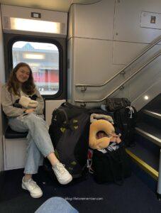 Vienna public transport