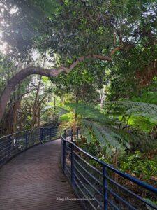 things to do in adelaide