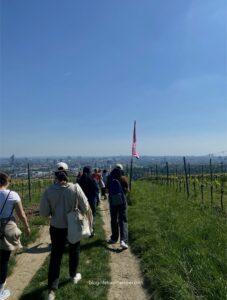 Vienna Wine Hike