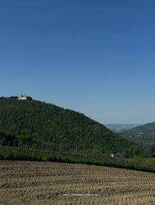 Vienna Wine Hike