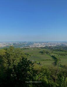 Vienna Wine Hike