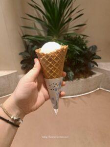 things to do in Singapore