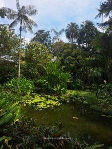 things to do in Singapore