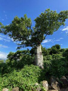 Airlie Beach Itinerary