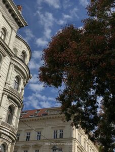 autumn cafés Vienna
