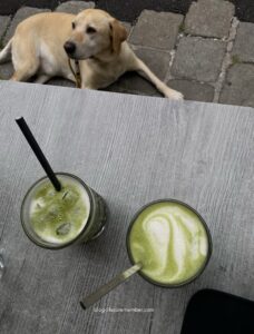 autumn cafés Vienna