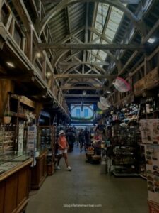 Paris to etretat day trip itinerary