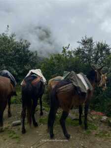 Salkantay Trek to Machu Picchu
