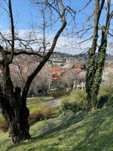 One day itinerary for Bratislava