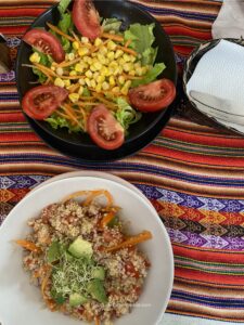 vegan backpacking ecuador peru