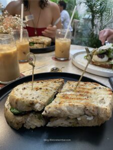 vegan backpacking ecuador peru