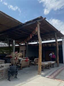 vegan backpacking ecuador peru