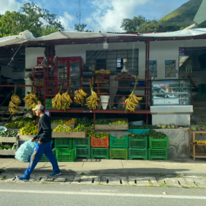 vegan backpacking ecuador peru