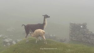 Peru Travel Itinerary