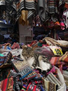 Peru Travel Itinerary